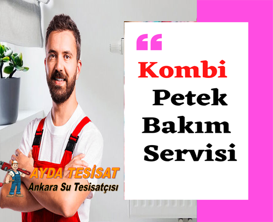 Akyurt petek temizliği