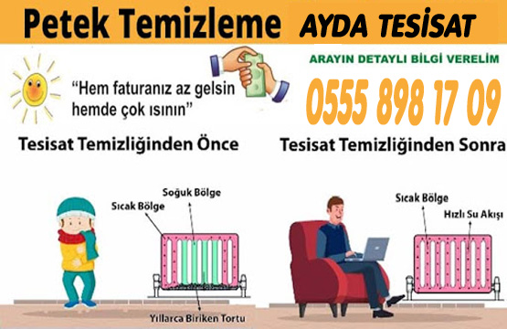 Abidinpaşa Petek Temizleme