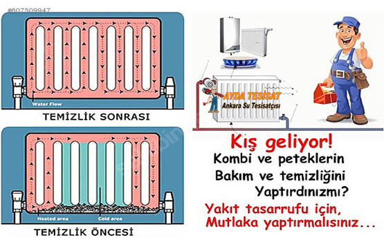 Esertepe Petek Temizleme